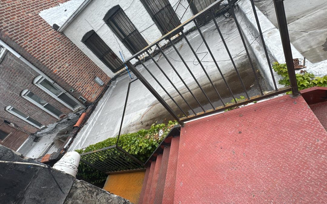Up on the Roof: New Spaces Are Coming to Life