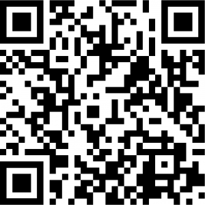 PayPal QR Code